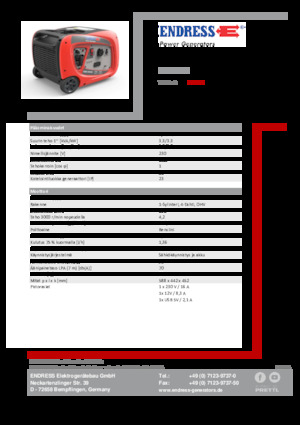 Бензинові електрогенератори Endress ESE 3000i