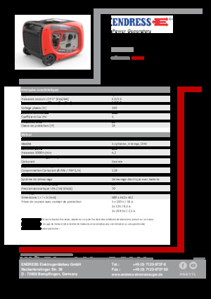 Бензинові електрогенератори Endress ESE 3000i