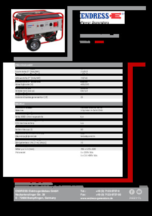 Бензинові електрогенератори Endress ESE 606 DHS-GT