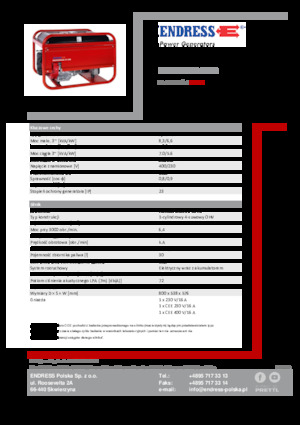 Бензинові електрогенератори Endress ESE 606 DHS-GT ES