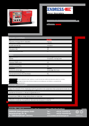 Бензинові електрогенератори Endress ESE 908 DBG ES ISO Duplex Silent