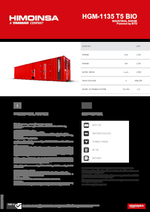 Бензинові електрогенератори HIMOINSA HGM-1135 T5 BIO