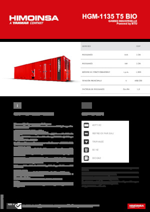 Бензинові електрогенератори HIMOINSA HGM-1135 T5 BIO
