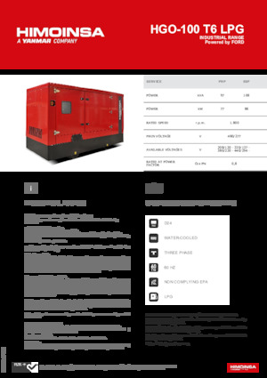 Бензинові електрогенератори HIMOINSA HGO-100 T6 LPG