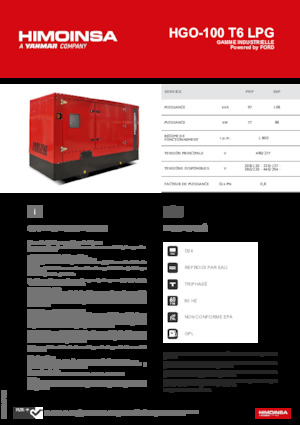 Бензинові електрогенератори HIMOINSA HGO-100 T6 LPG