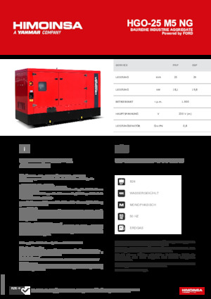 Бензинові електрогенератори HIMOINSA HGO-25 M5 NG