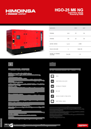 Бензинові електрогенератори HIMOINSA HGO-25 M6 NG