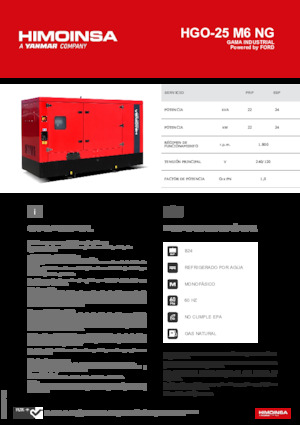 Бензинові електрогенератори HIMOINSA HGO-25 M6 NG