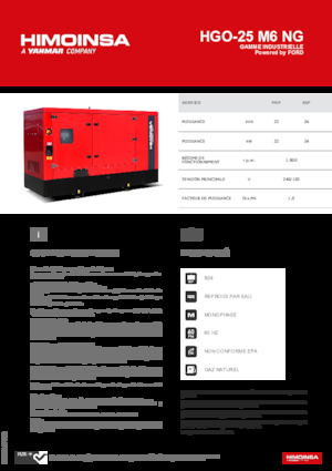 Бензинові електрогенератори HIMOINSA HGO-25 M6 NG