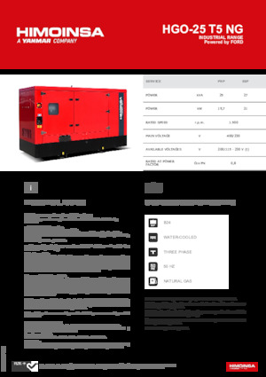 Бензинові електрогенератори HIMOINSA HGO-25 T5 NG