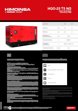 Бензинові електрогенератори HIMOINSA HGO-25 T5 NG