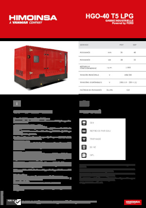 Бензинові електрогенератори HIMOINSA HGO-40 T5 LPG