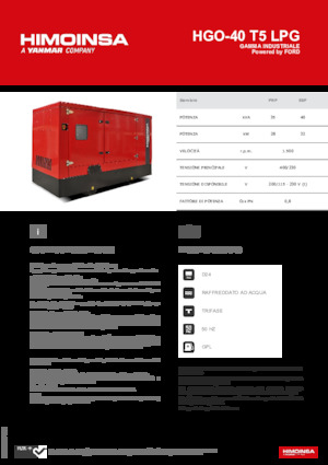 Бензинові електрогенератори HIMOINSA HGO-40 T5 LPG