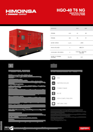 Бензинові електрогенератори HIMOINSA HGO-40 T6 NG