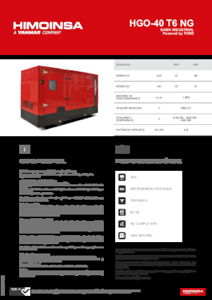 Бензинові електрогенератори HIMOINSA HGO-40 T6 NG