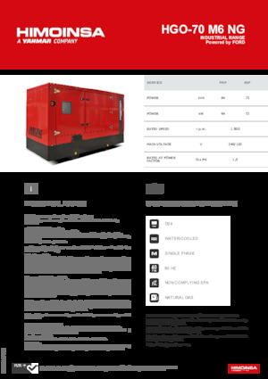Бензинові електрогенератори HIMOINSA HGO-70 M6 NG