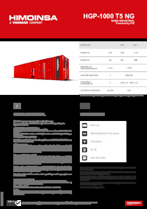 Бензинові електрогенератори HIMOINSA HGP-1000 T5 NG