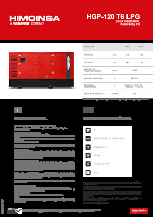 Бензинові електрогенератори HIMOINSA HGP-120 T6 LPG