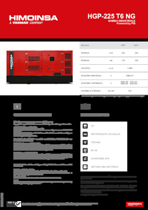 Бензинові електрогенератори HIMOINSA HGP-225 T6 NG