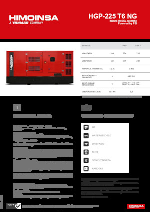 Бензинові електрогенератори HIMOINSA HGP-225 T6 NG
