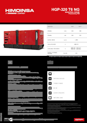 Бензинові електрогенератори HIMOINSA HGP-320 T6 NG
