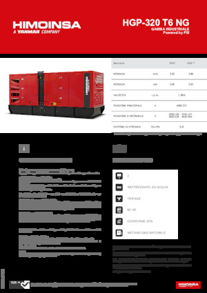 Бензинові електрогенератори HIMOINSA HGP-320 T6 NG