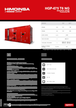 Бензинові електрогенератори HIMOINSA HGP-675 T6 NG