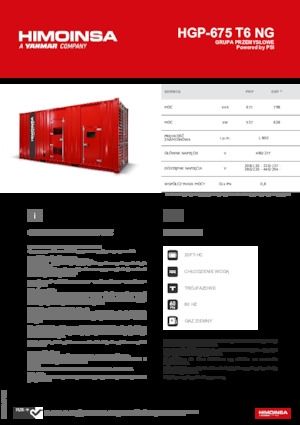 Бензинові електрогенератори HIMOINSA HGP-675 T6 NG