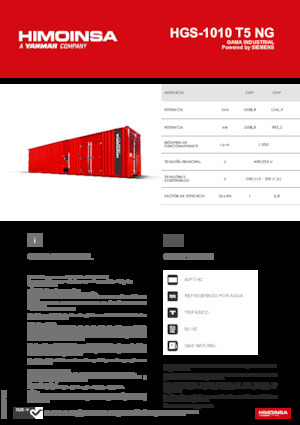 Бензинові електрогенератори HIMOINSA HGS-1010 T5 NG