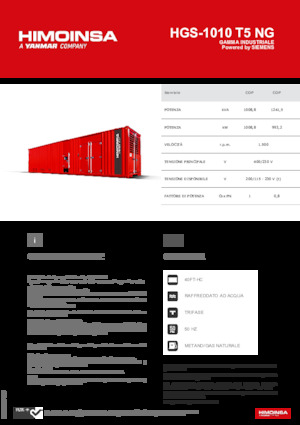 Бензинові електрогенератори HIMOINSA HGS-1010 T5 NG
