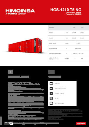 Бензинові електрогенератори HIMOINSA HGS-1210 T5 NG