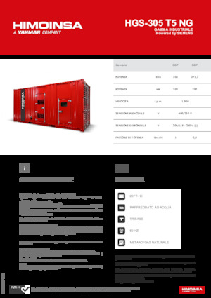 Бензинові електрогенератори HIMOINSA HGS-305 T5 NG