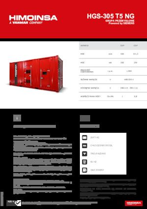 Бензинові електрогенератори HIMOINSA HGS-305 T5 NG