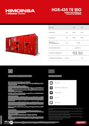 Бензинові електрогенератори HIMOINSA HGS-435 T6 BIO