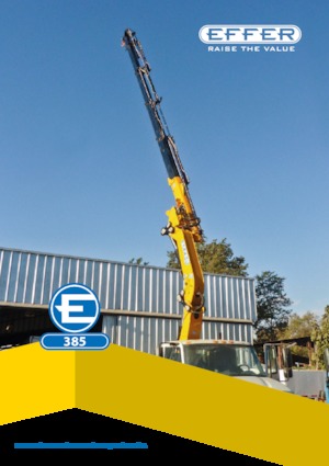 Гідравлічні вантажні крани Effer 385 6S