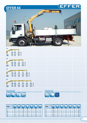 Гідравлічні вантажні крани Effer 65 2S