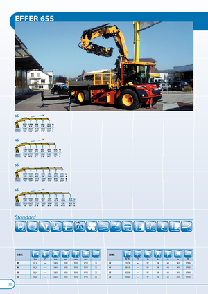 Гідравлічні вантажні крани Effer 655 3S