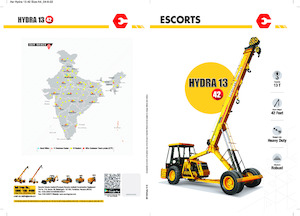 Промислові пересувні крани Escorts Hydra 1342