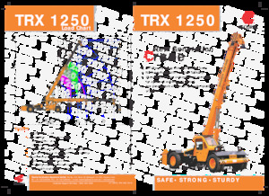 Промислові пересувні крани Escorts TRX 1250