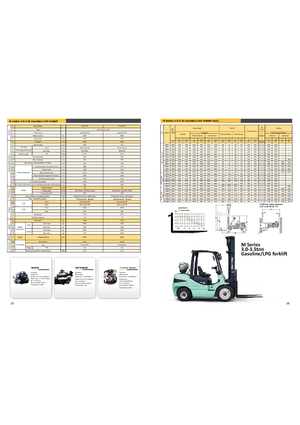 навантажувач з вилковим захватом LPG Maximal FGL 30 T-M2WA3