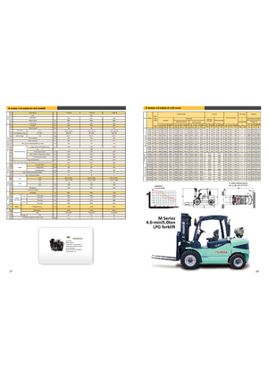 навантажувач з вилковим захватом LPG Maximal FL 40 T-M1WE3