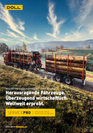 Причепи низькі Doll LOGO 14