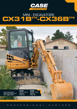 Міні-екскаватори Case CX 31 B ZTS