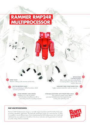 Мультипроцесори Rammer RMP24R