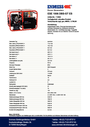 Бензинові електрогенератори Endress ESE 1006 DBS-GT ES