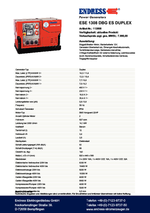 Бензинові електрогенератори Endress ESE 1308 DBG ES Duplex Silent