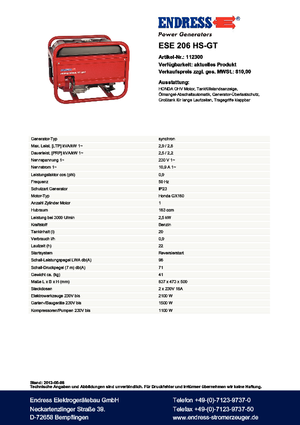 Бензинові електрогенератори Endress ESE 206 HS-GT