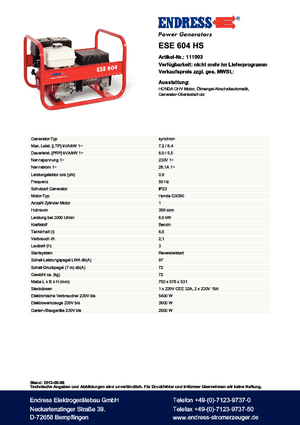 Бензинові електрогенератори Endress ESE 604 HS