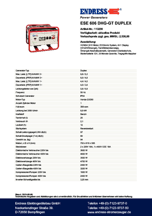 Бензинові електрогенератори Endress ESE 606 DHG-GT Duplex