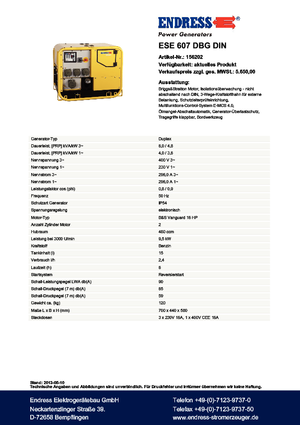 Бензинові електрогенератори Endress ESE 607 DBG DIN